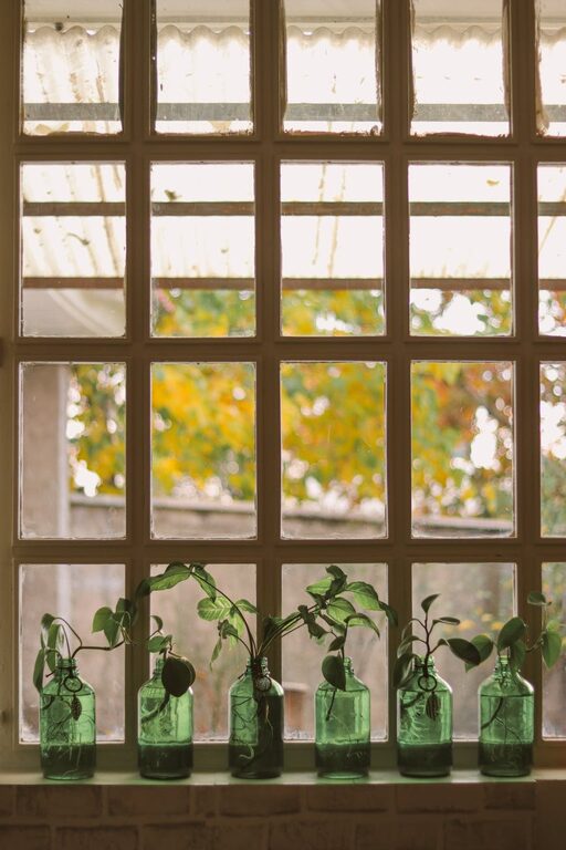 Post: Jak správně pečovat o pokojové rostliny během různých ročních období