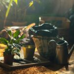 Jak správně pečovat o pokojové rostliny během celého roku