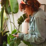 Průvodce základní péčí o pokojové rostliny pro začátečníky